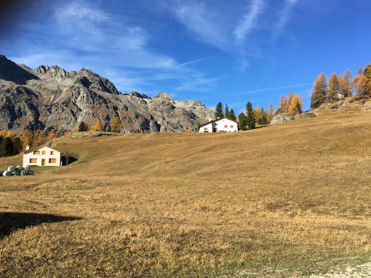 Chesa Viletta La Punt-Chamues-ch Luaran gambar
