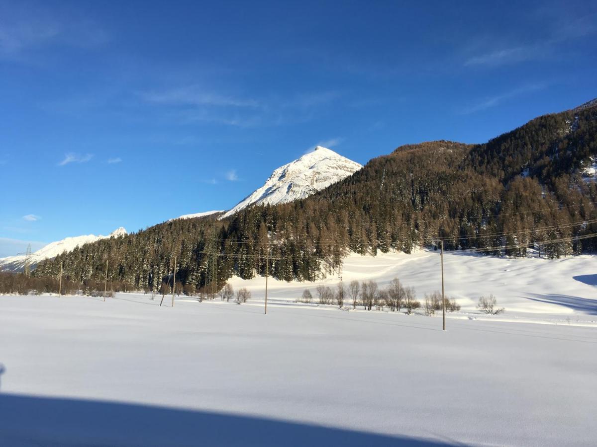 Chesa Viletta La Punt-Chamues-ch Luaran gambar